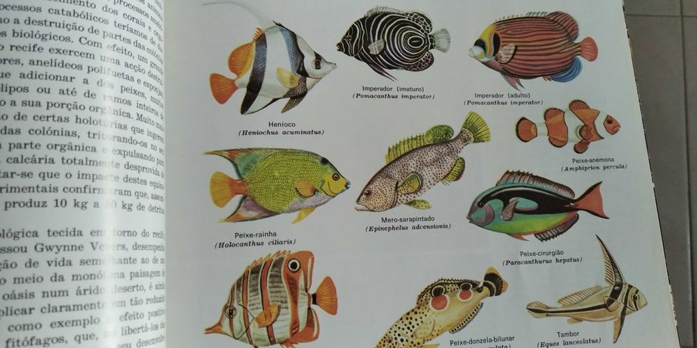 A Enciclopédia Salvat de Fauna de  Félix Rodríguez de la Fuente