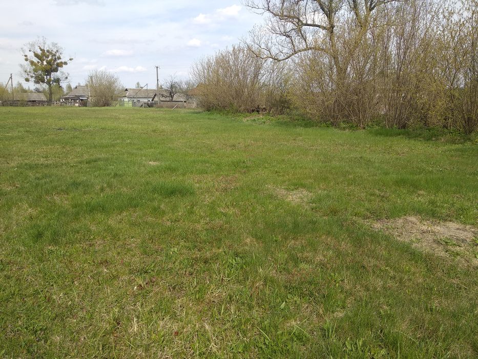 Продажа земельного участка в с.Андреевка (Вышгородский район)
