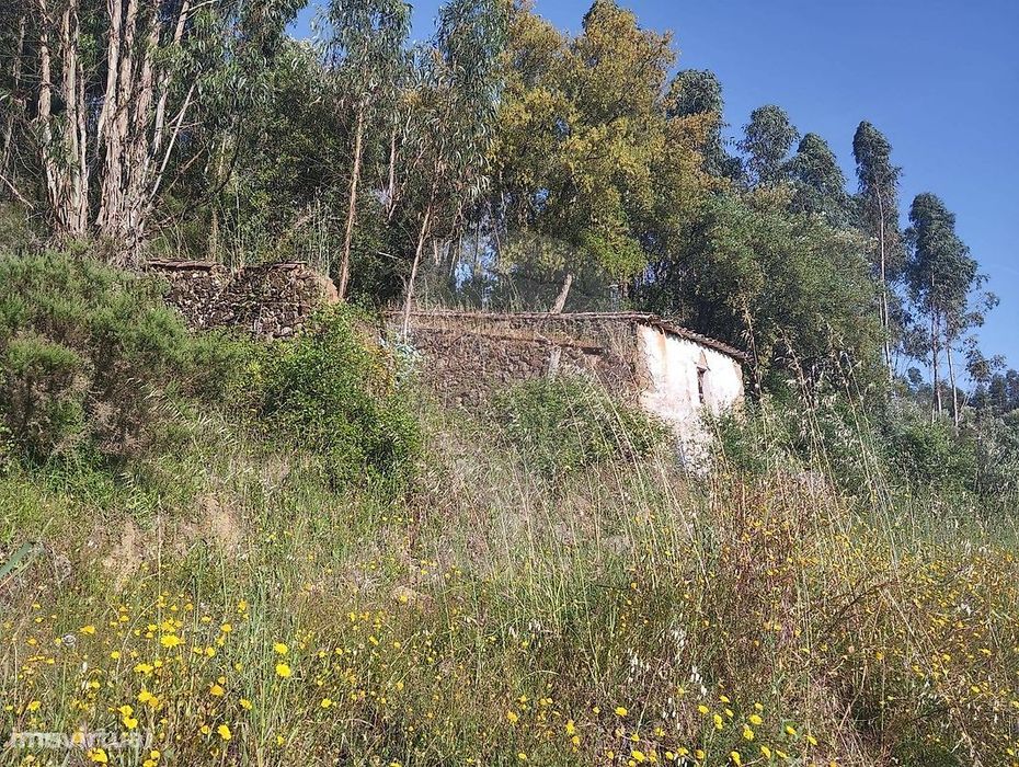 Terreno  para venda — Sardoal, Santarém