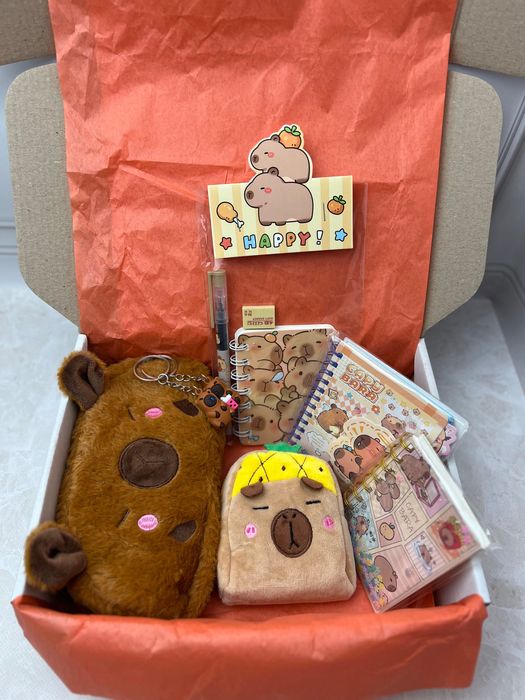 Капібара дитячий набір capybara