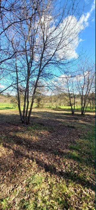 Vendo terreno Rústico