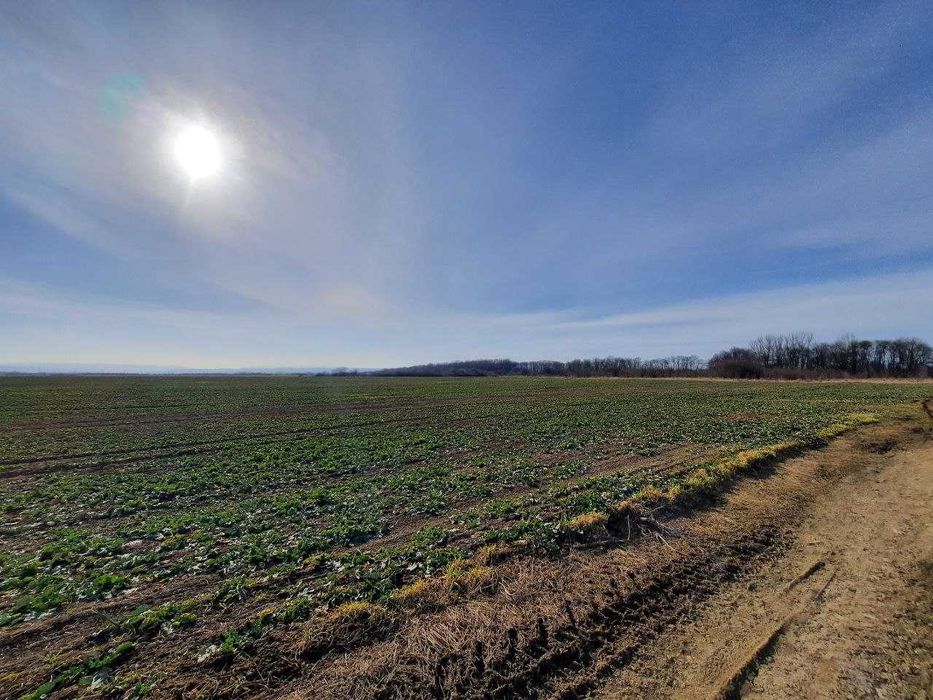 Продаж земельної ділянки село Дуліби