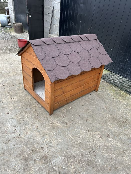 Buda     dla    psa.