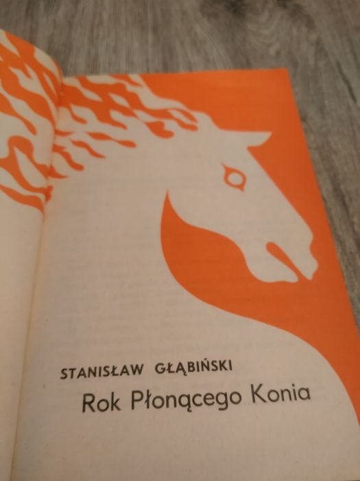 Stanisław Głąbiński Rok Płonącego Konia