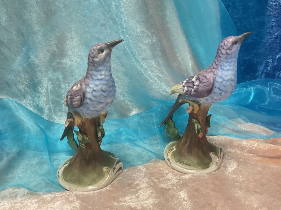 Aves biscuit pintura manual