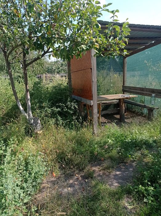 Садиба біля річки Десна. Село Лебедівка.