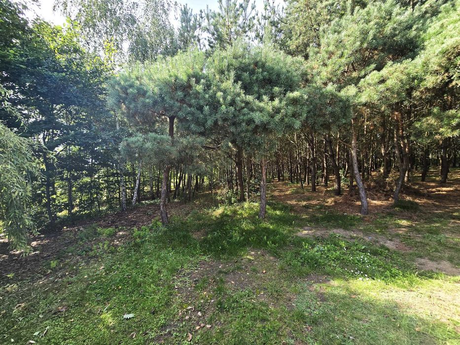 Dom – Piła - Widok 4