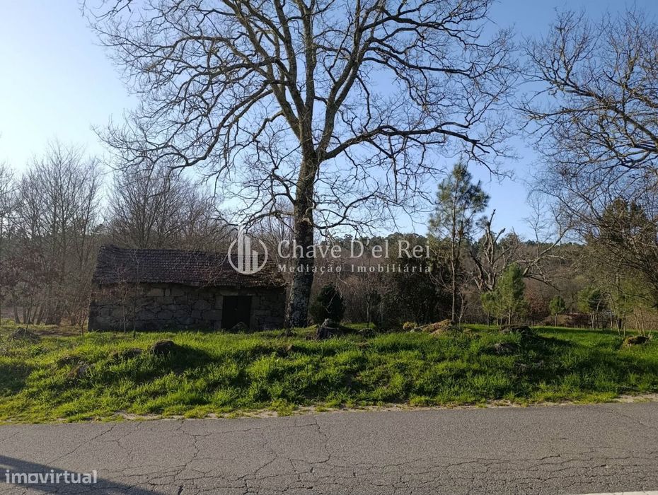 Terreno  Venda em Couto de Baixo e Couto de Cima,Viseu