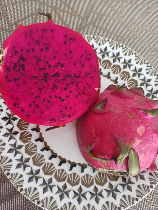Planta / Árvore Pitaya ou fruta do Dragão