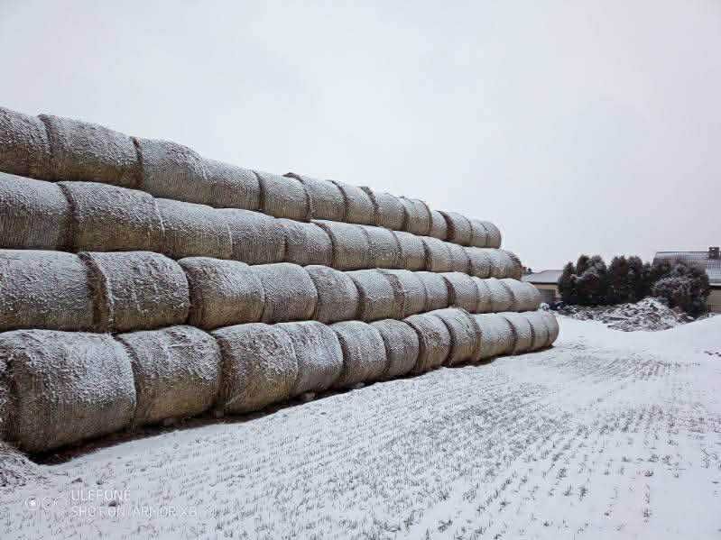 Słoma pszenna 65 125x125 (400 snopków)