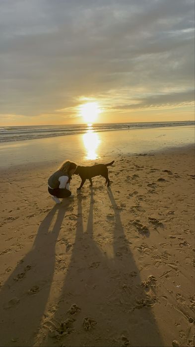 Tomamos conta do sei amigo Cão ou Gato
