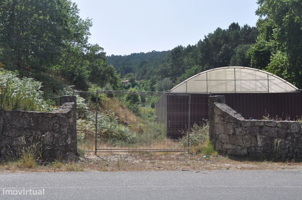 Excelente quinta com 6,1 Hectares — Celorico de Basto