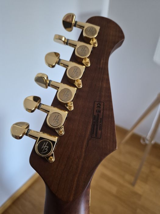Guitarra Harley Benton Guitar MAX Fusion Signature PF