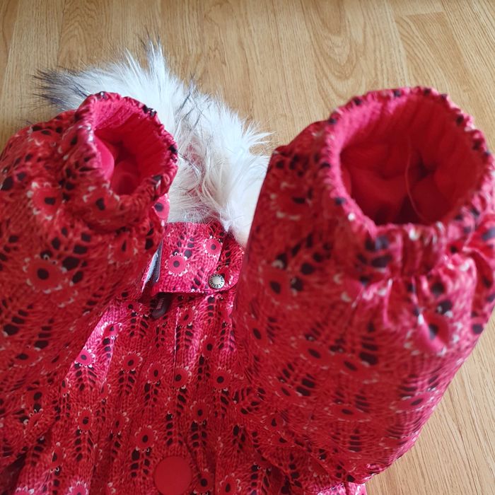 Зимовий комбінезон та куртка lenne 110