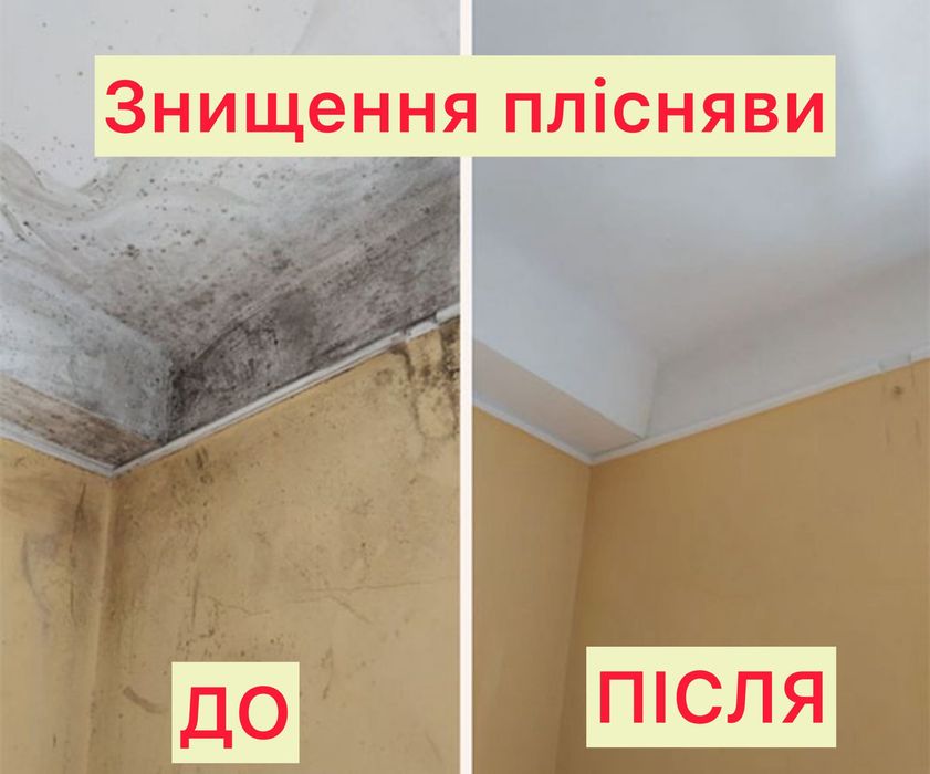 Знищення плісняви, видалення грибка , цвілі , запахів  Дезінфекція