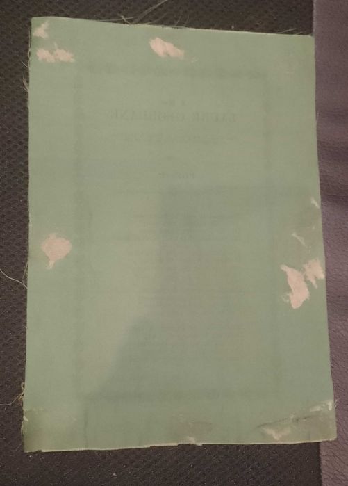 Soneto da Época 1854 Guerra Leal a Laure Geordane "Em Tecido"