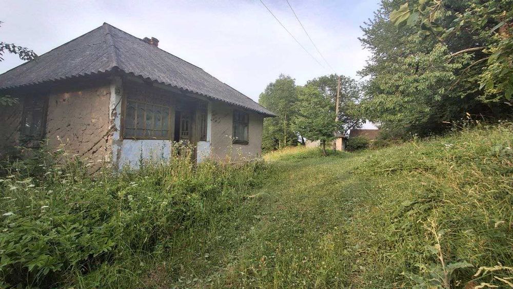 Продається будинок35 м2 і земельна ділянка 50 соток в с. Гостів, електрика, бізнес, сонячні панелі, дохід