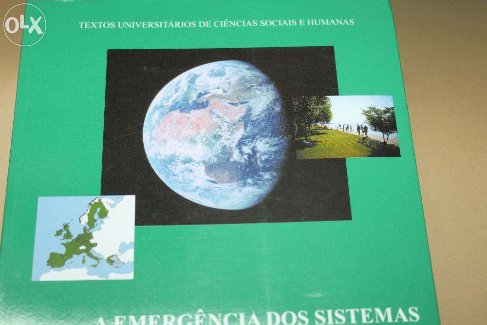 A Emergência dos Sistemas de Informação