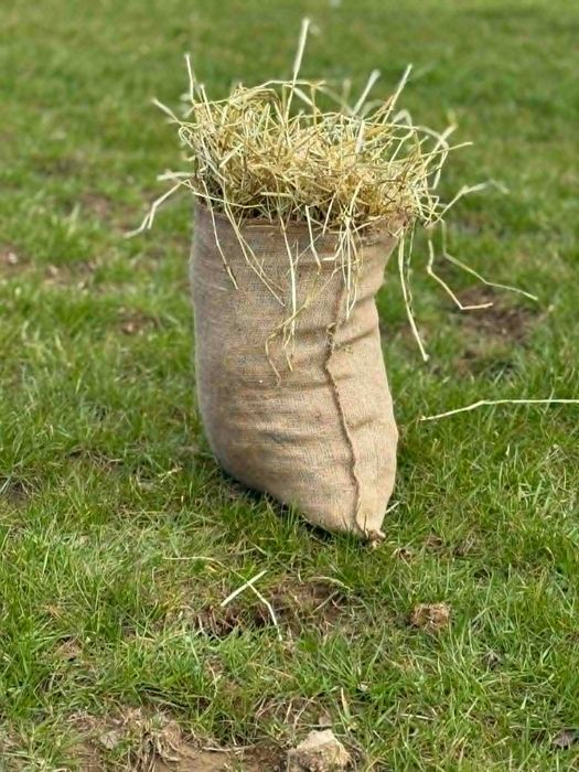 siano sianko dla królików królika gryzoni 5kg naturalne