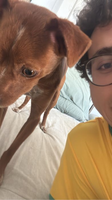 Petsitter em Lisboa470688227142543361