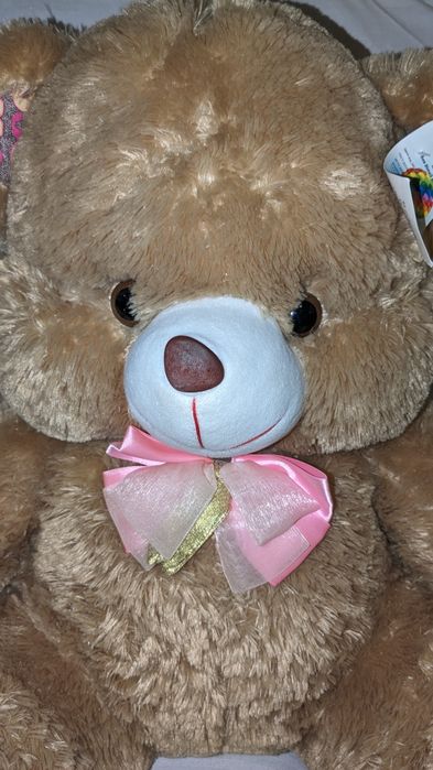 Ведмідь, м'яка іграшка мішка