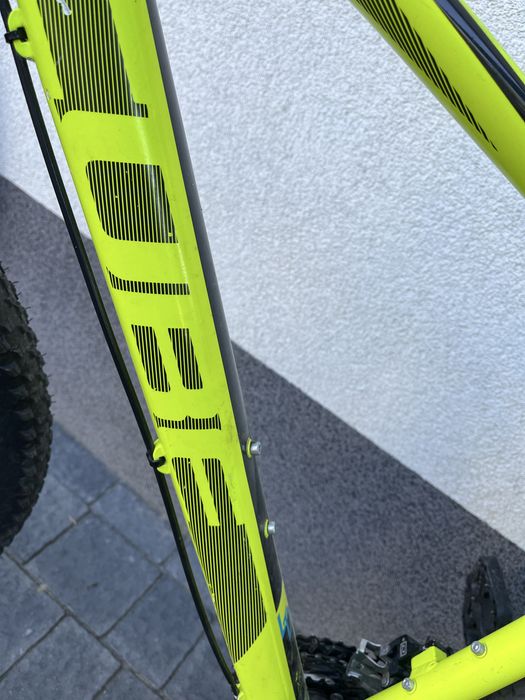 Rower Cube hard tail
