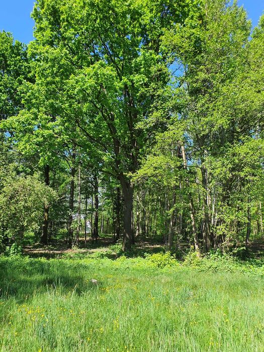 Działka  1500 m2  W.Z.