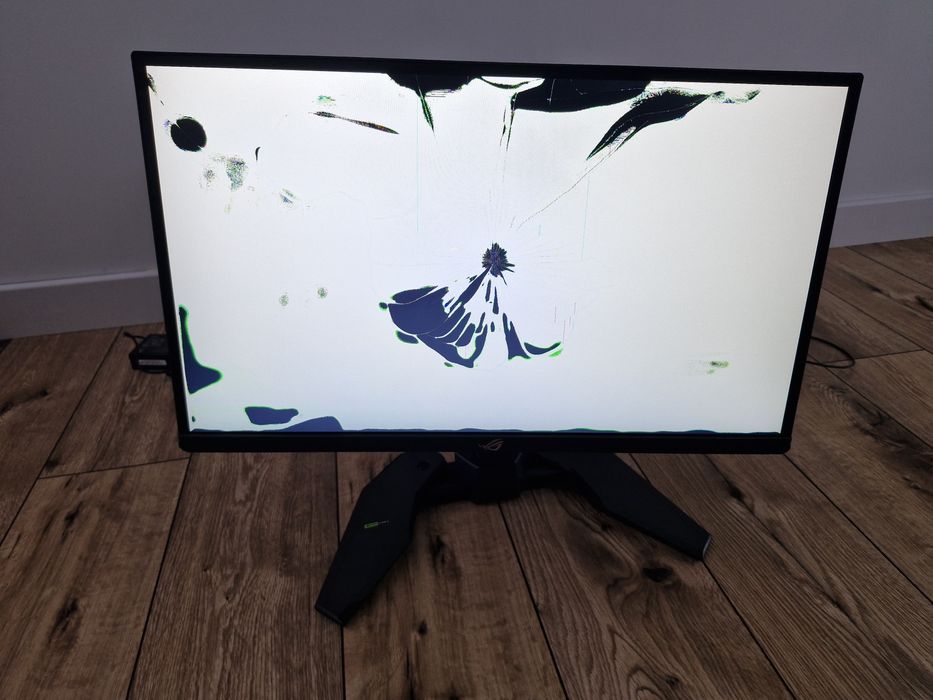 Monitor Asus Rog Swift Pro PG248QP uszkodzona matryca.