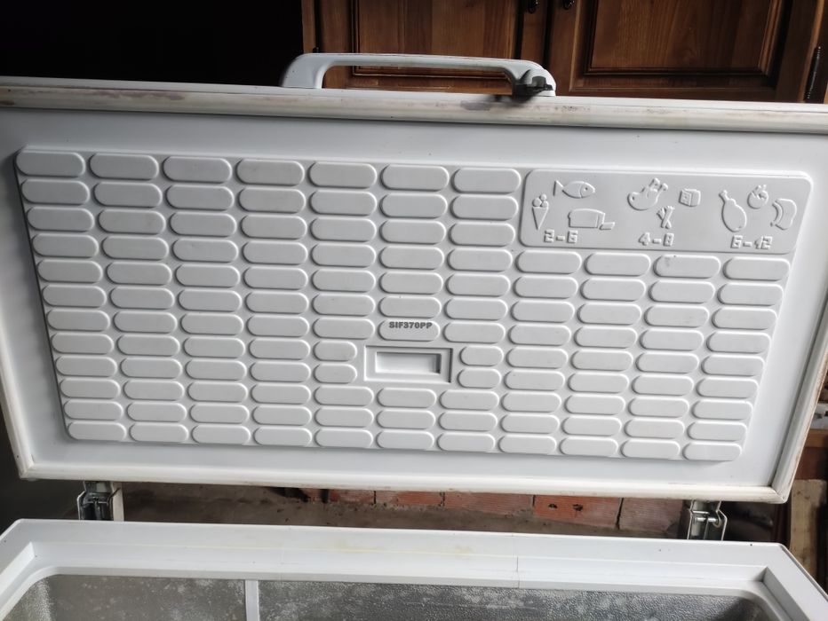 Arca congeladora Princess