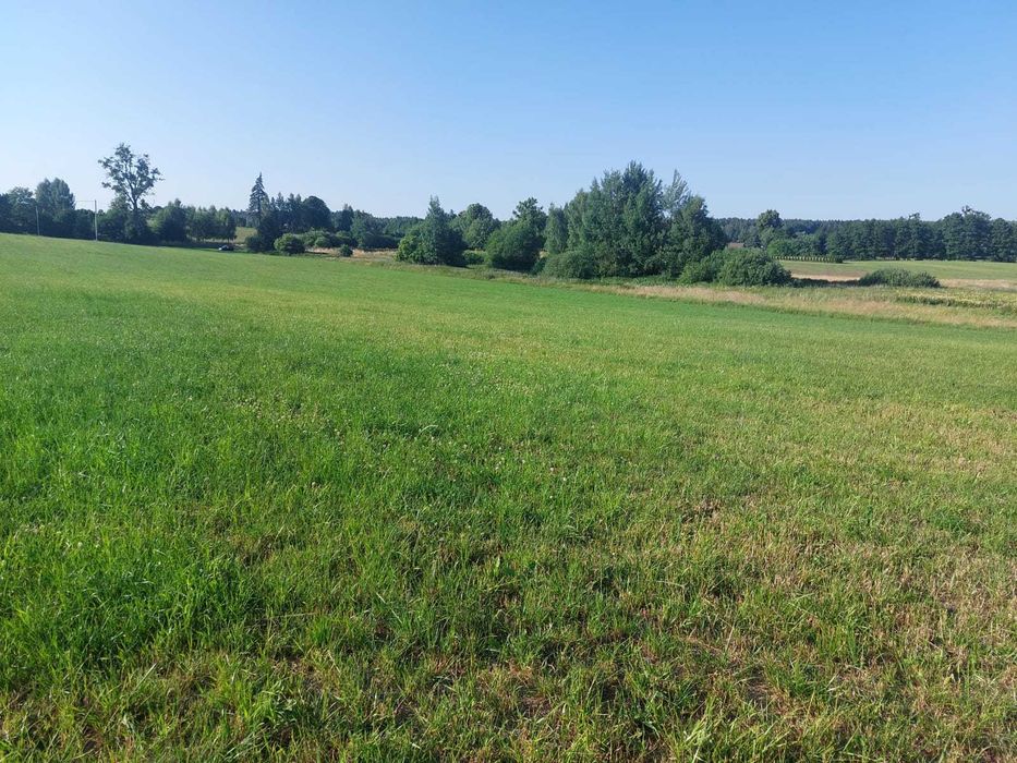 Działka nad Jeziorem Dauby - Iława/Ostróda - blisko S7- warunki zabudowy, bez prowizji i bezpośrednio - Widok 3