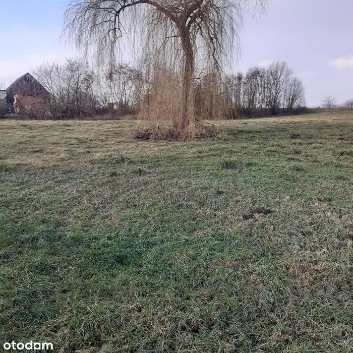 Działka 5600m2 - Brzyków