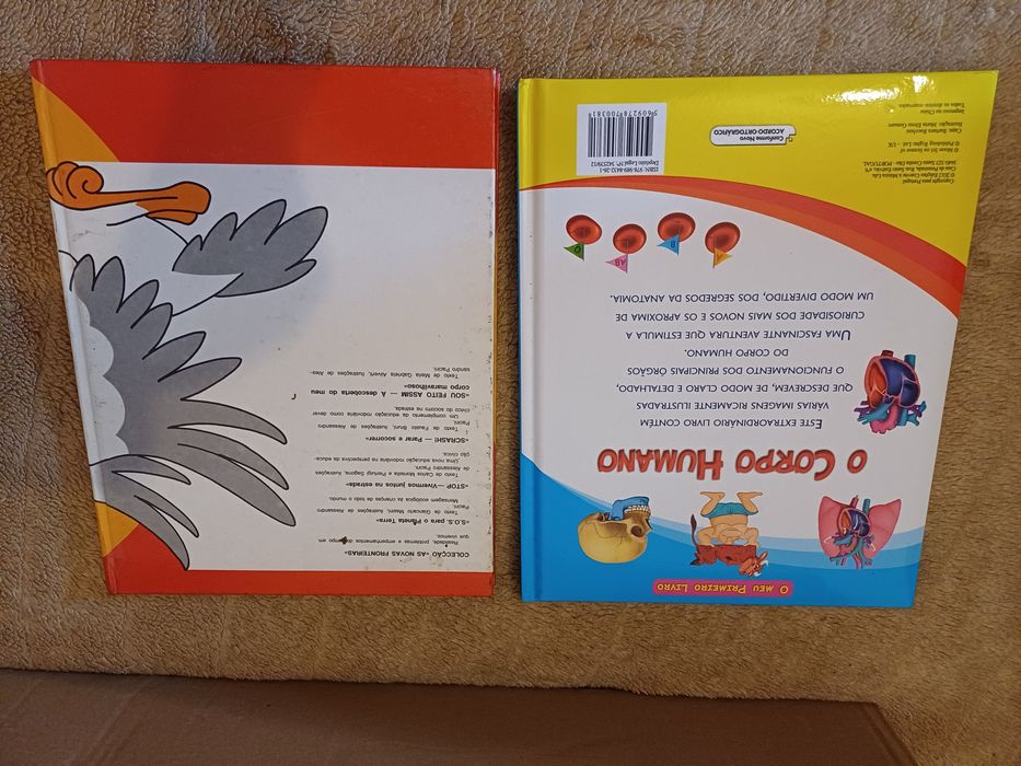 Conjunto 2 livros infantis