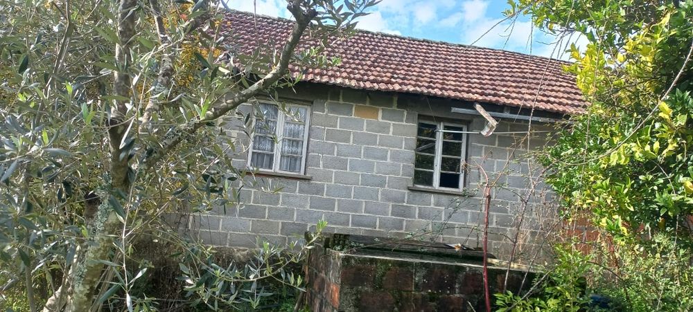 Quinta com casa habitação em Sabugosa-Tondela Tondela