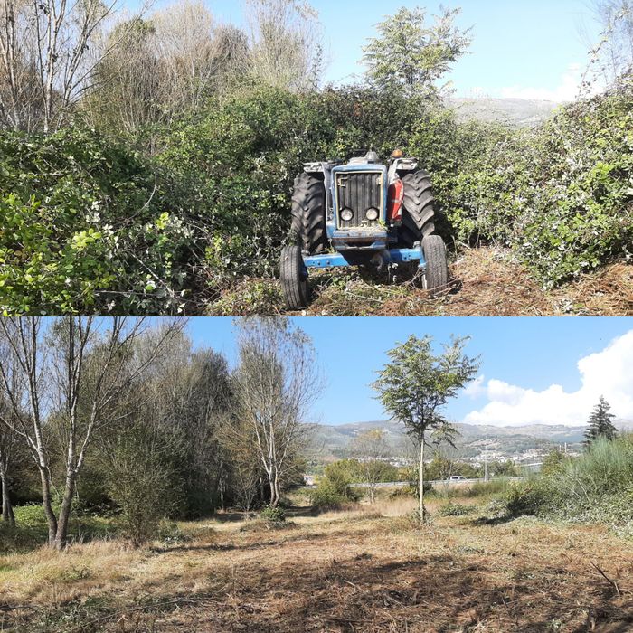 limpeza de terrenos