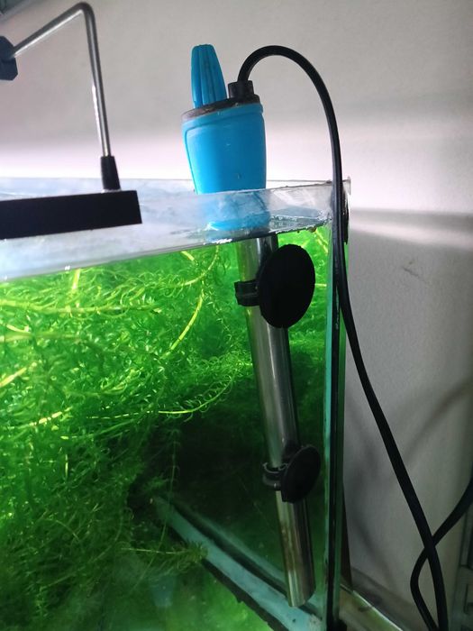 Kit Aquário 90l completo