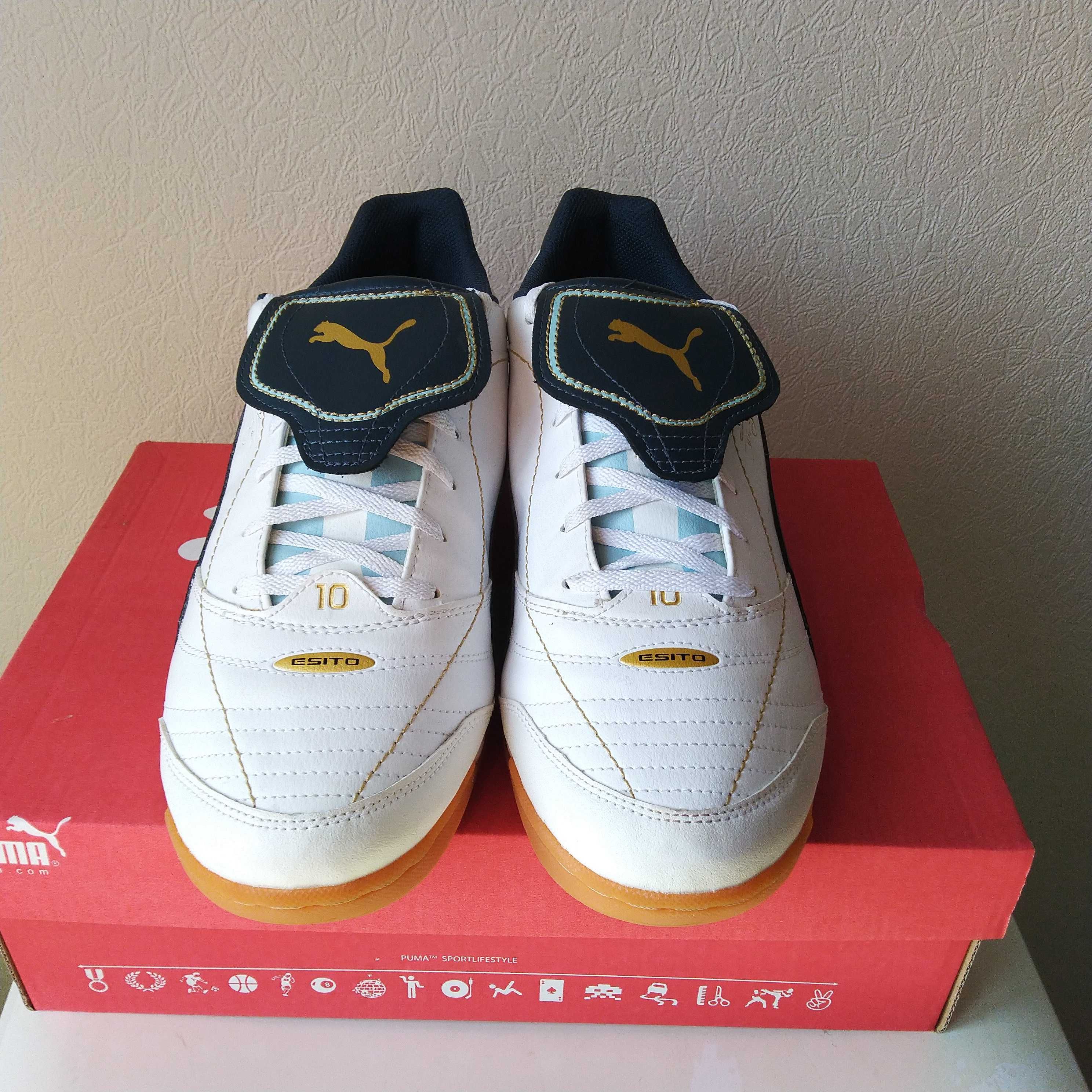 45 46 Puma Esito Finale