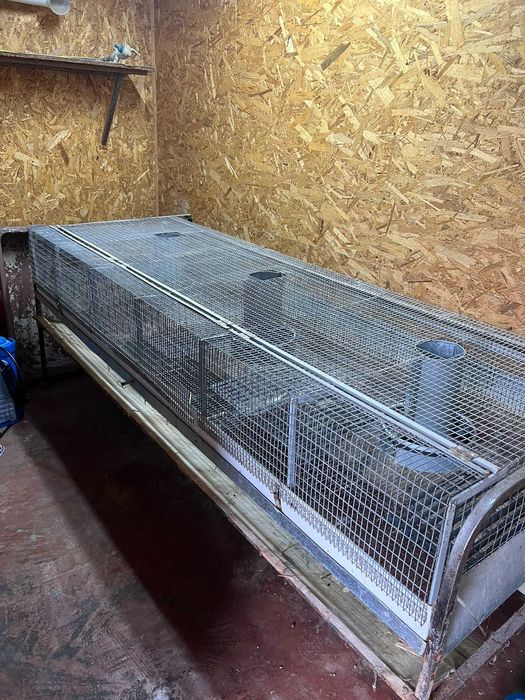 Клітка для відгодівлі кролів
