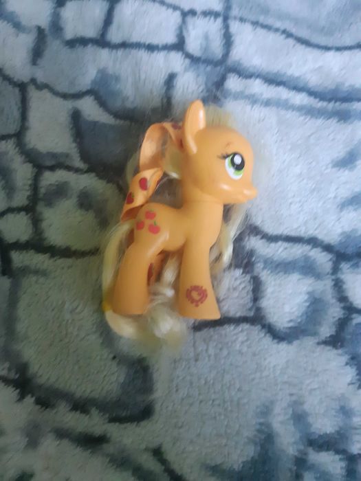 Konik kucyk ponny