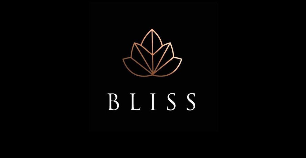 Bracelete Coleção New York ( Novo )