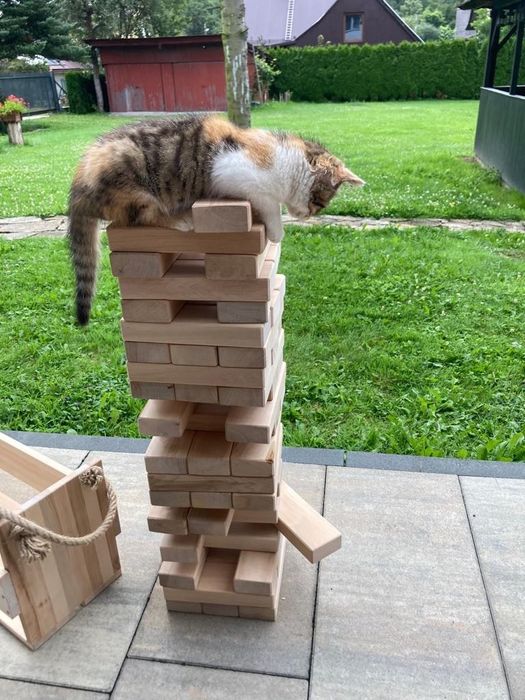 Klocki drewniane JENGA