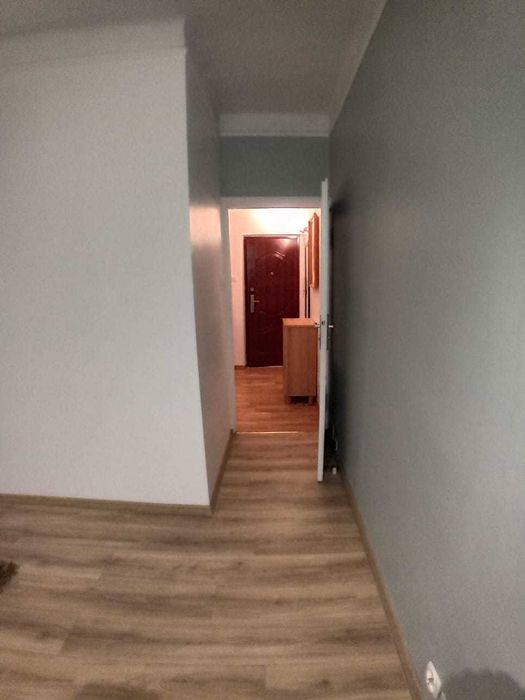 Mieszkanie - wynajem