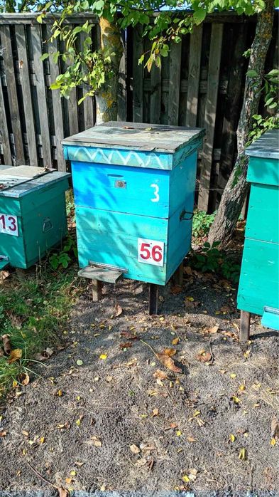 Вулики для бджіл