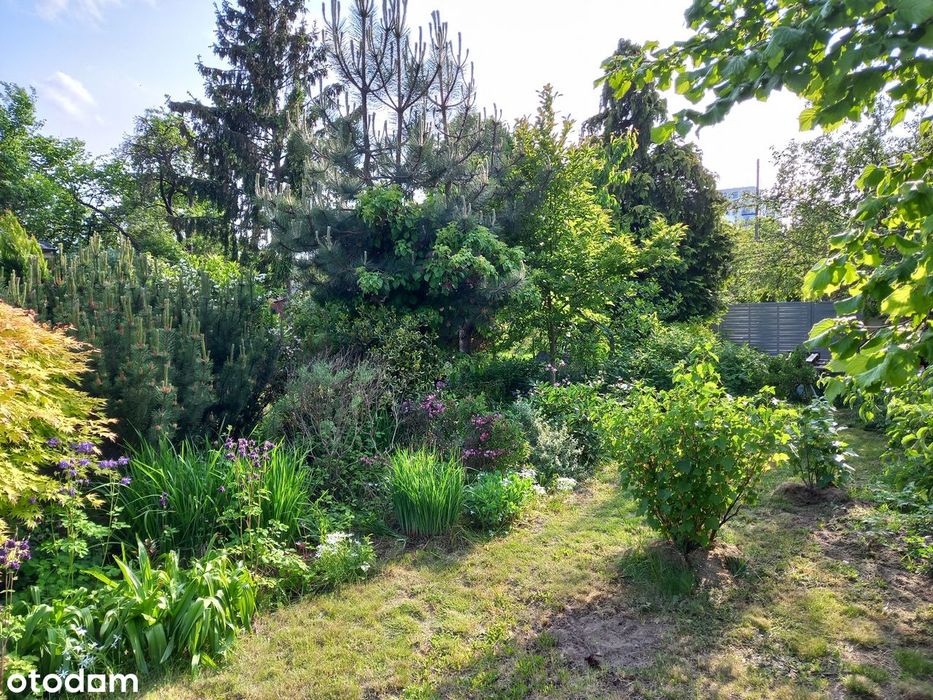 Działka ROD przy ul. Hallera - View 6