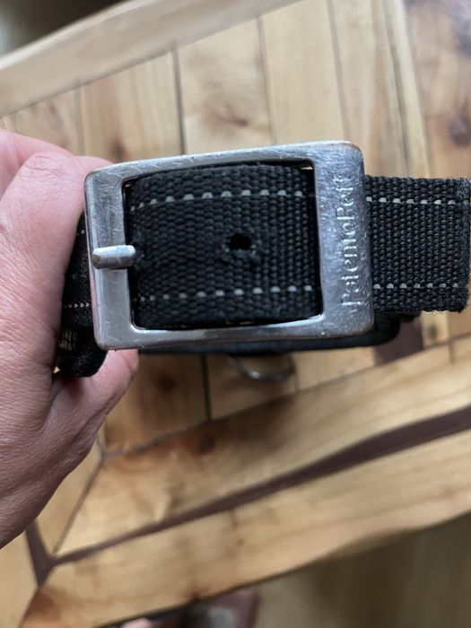 Obroźa dla psa Pentento Pet