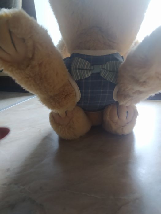 Шлея для собак. S.