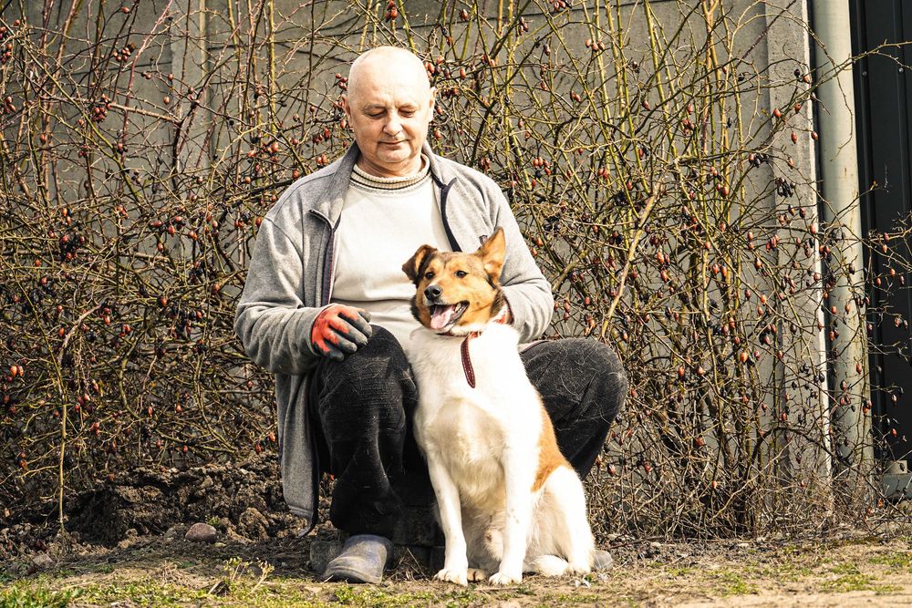Kid - biało-rudy pies szuka domu