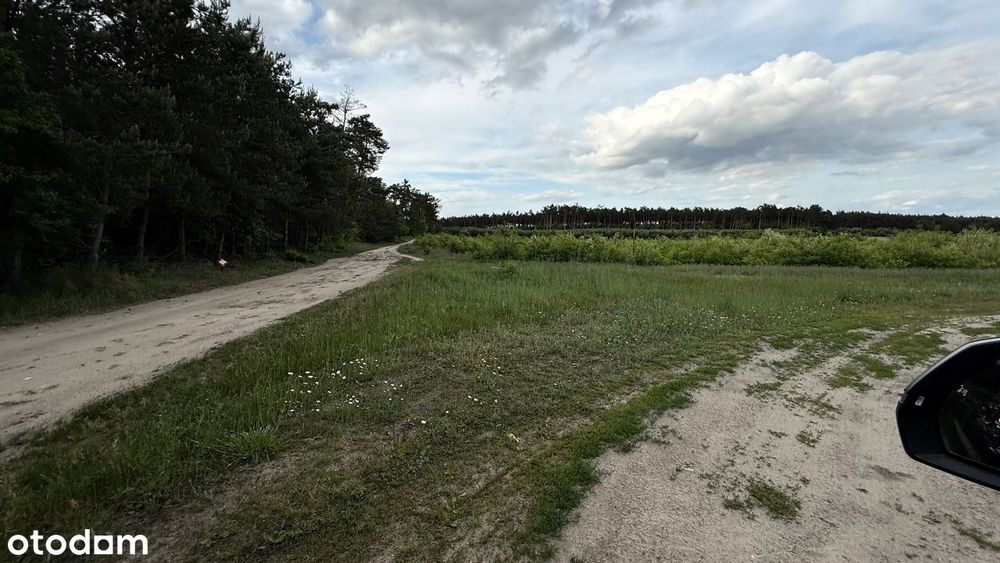 Działka budowlana z wydanymi WZ, Ostrowo gmina Powidz w otulinie lasu