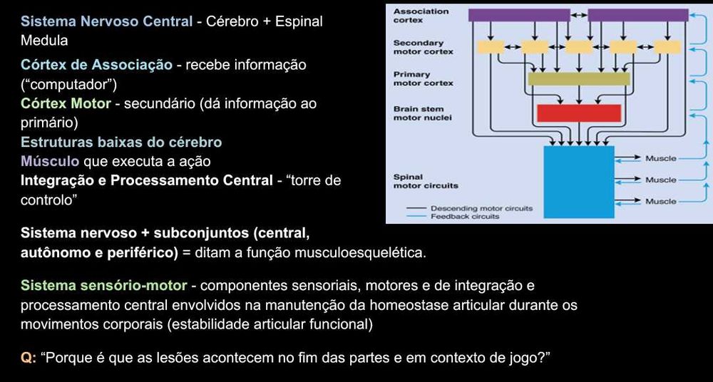 Resumos Completos de Reeducação Funcional