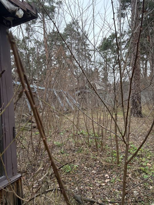 Буча продажа земли