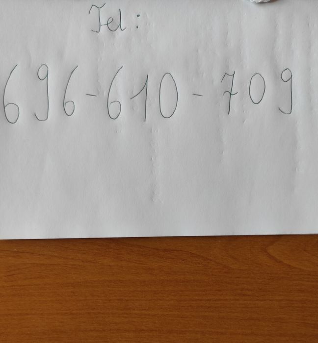 Gołębie pocztowe - Mulemansy młode